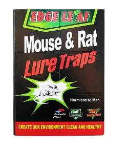 انواع چسب موش کتابی